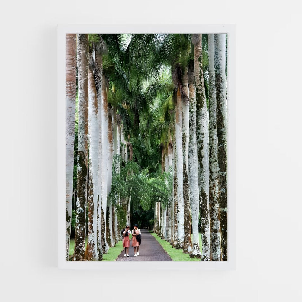 ap-port louis-7 cadre Blanc