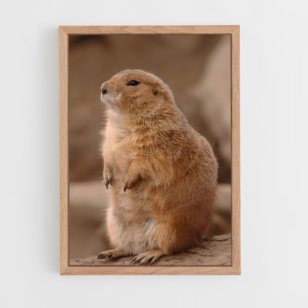 ap-prairie dog-1 cadre Bois clair