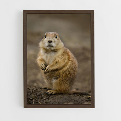 ap-prairie dog-4 cadre Bois foncé