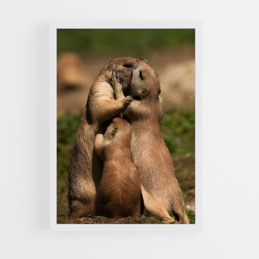 ap-prairie dog-5 cadre Blanc