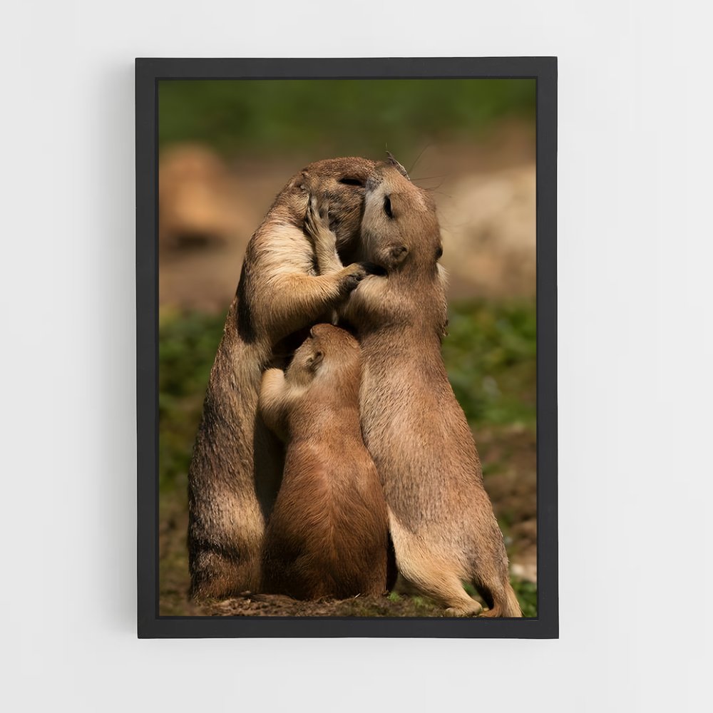 ap-prairie dog-5 cadre Noir