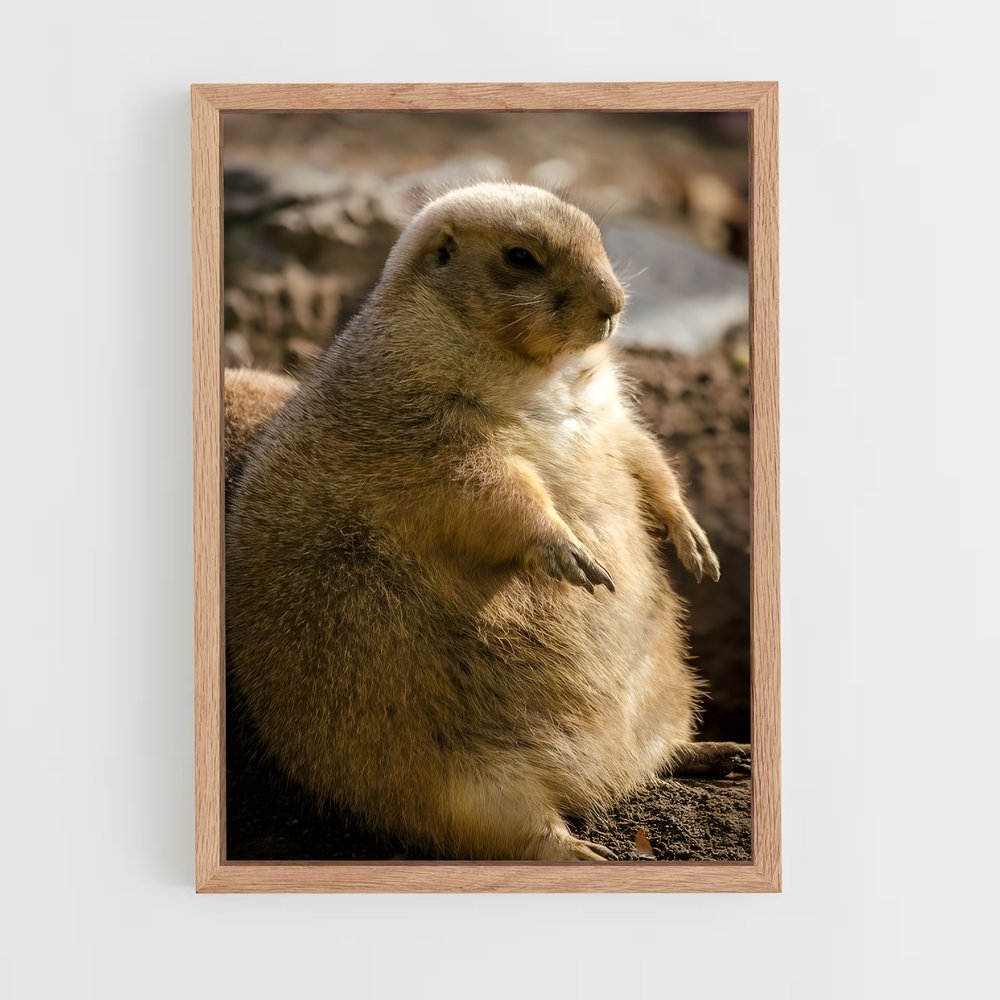 ap-prairie dog-6 cadre Bois clair