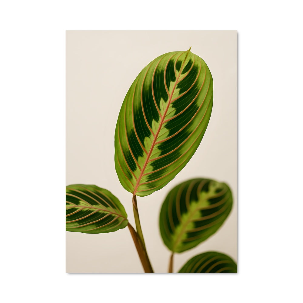 Poster Feuille de Prière