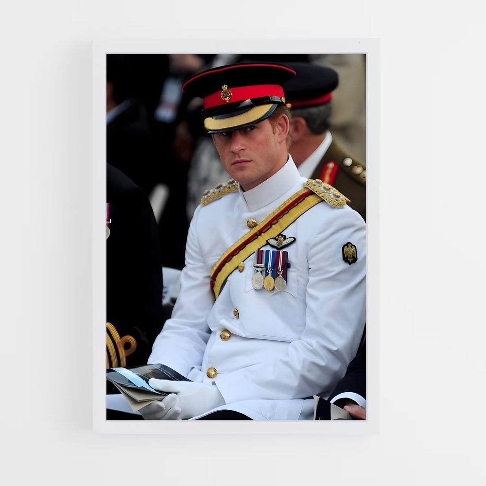 ap-prince harry-13 cadre Blanc
