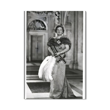 Poster Diva Éternelle