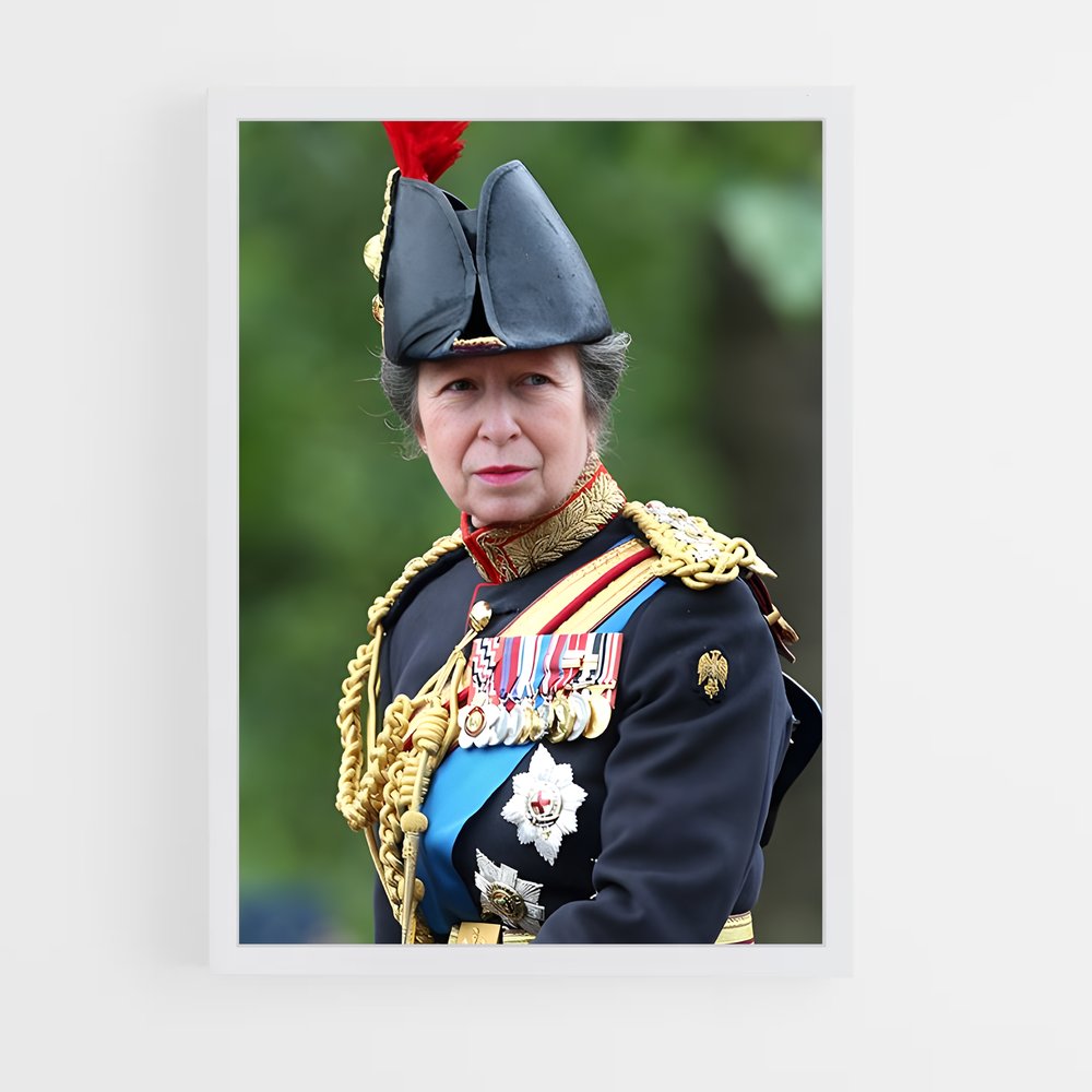 ap-princess anne-3 cadre Blanc