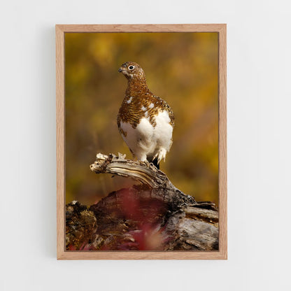 ap-ptarmigan-3 cadre Bois clair