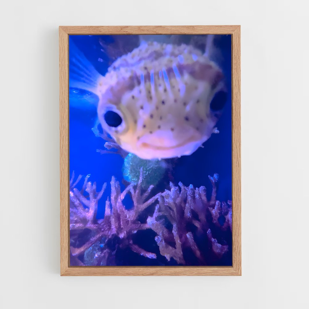 ap-pufferfish-3 cadre Bois clair