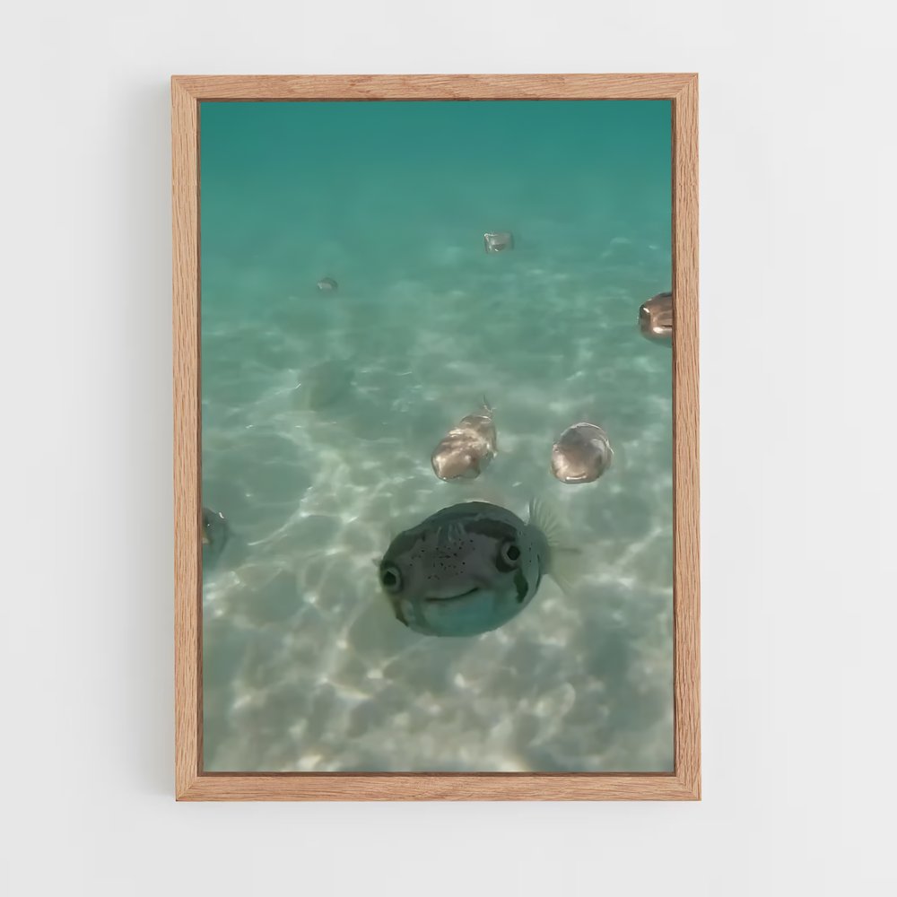 ap-pufferfish-4 cadre Bois clair