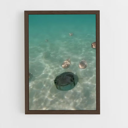 ap-pufferfish-4 cadre Bois foncé