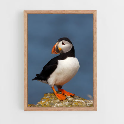 ap-puffin-1 cadre Bois clair