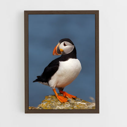 ap-puffin-1 cadre Bois foncé