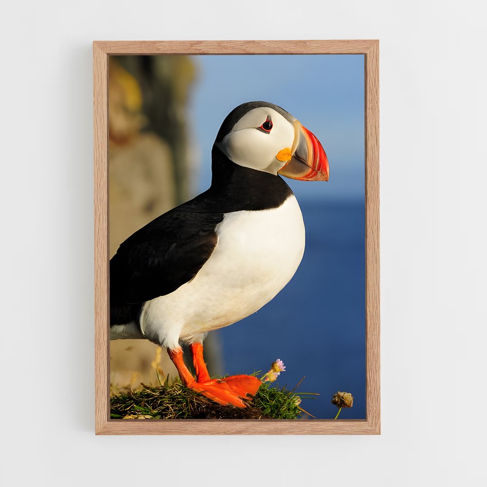 ap-puffin-3 cadre Bois clair
