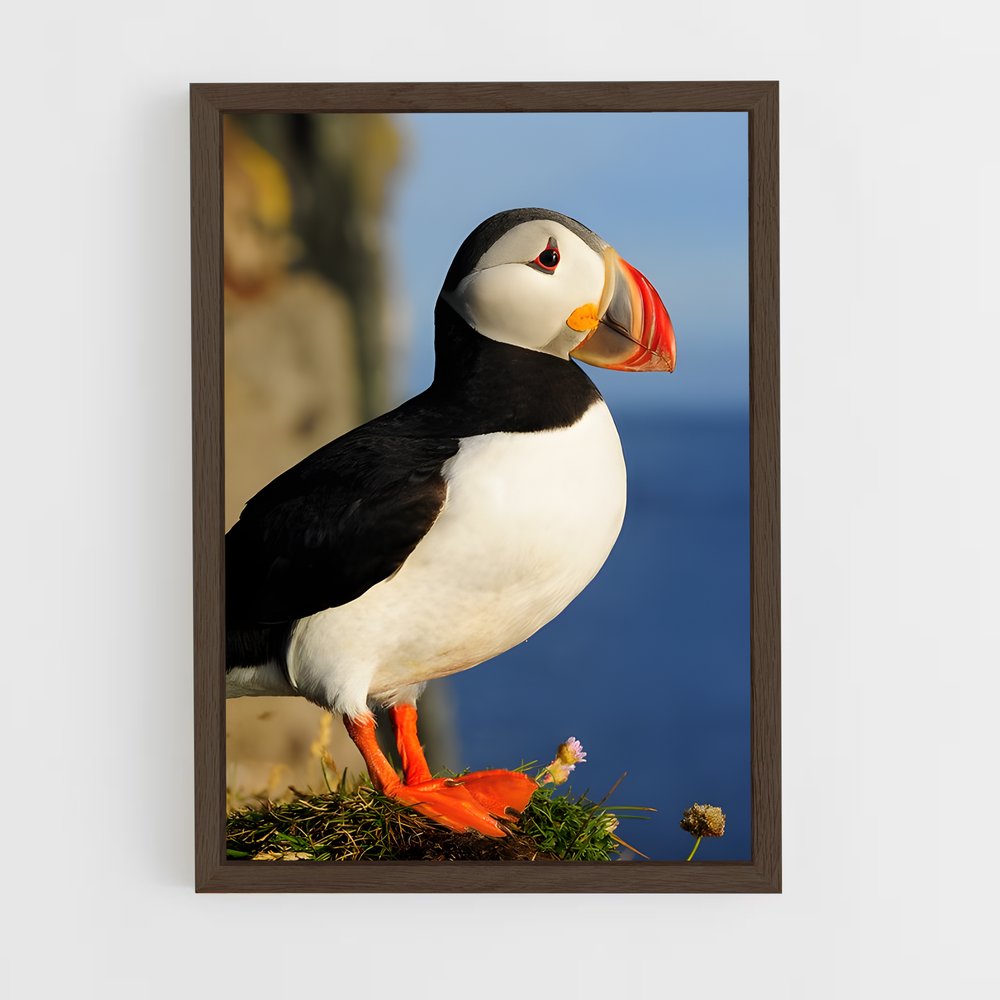 ap-puffin-3 cadre Bois foncé