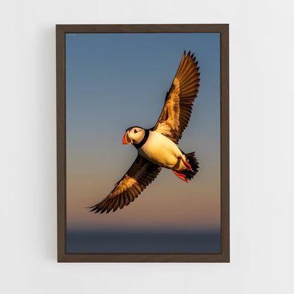 ap-puffin-4 cadre Bois foncé