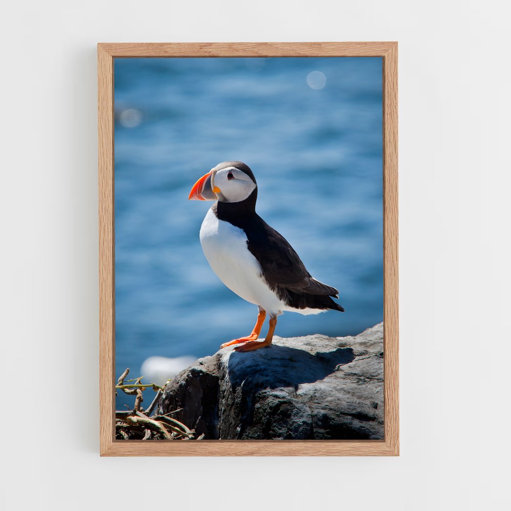 ap-puffin-7 cadre Bois clair