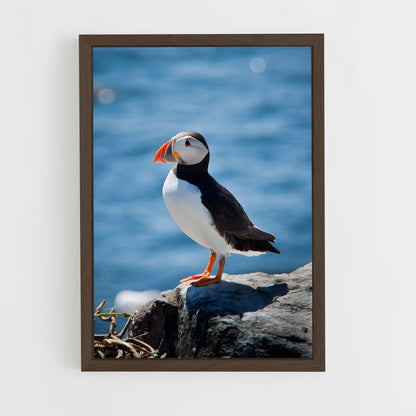 ap-puffin-7 cadre Bois foncé