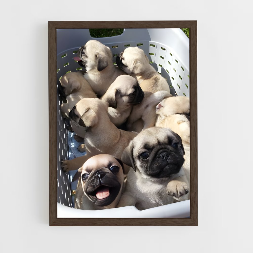 ap-pug-3 cadre Bois foncé