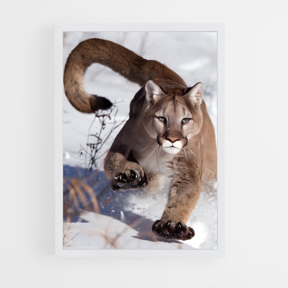 ap-puma-18 cadre Blanc