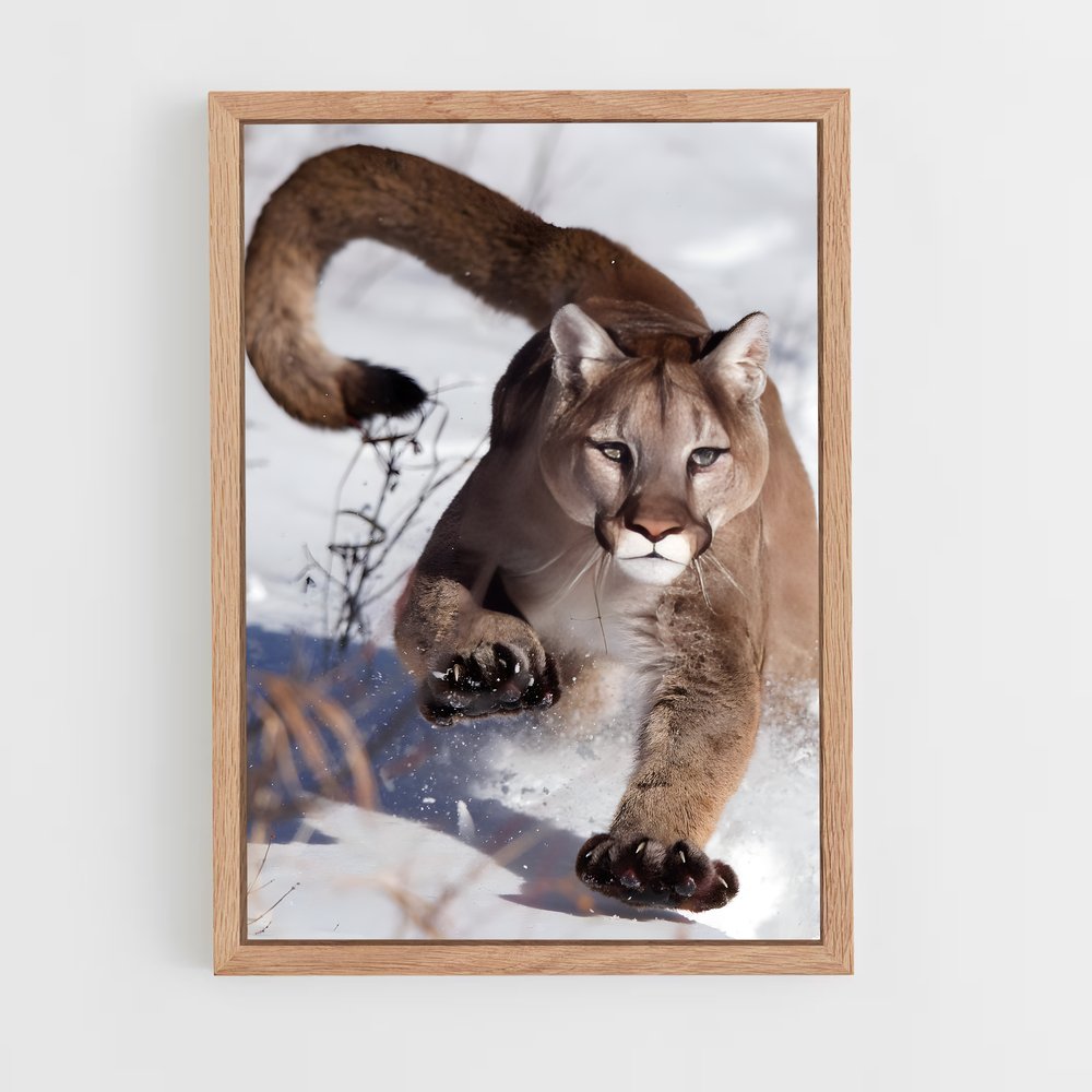 ap-puma-18 cadre Bois clair