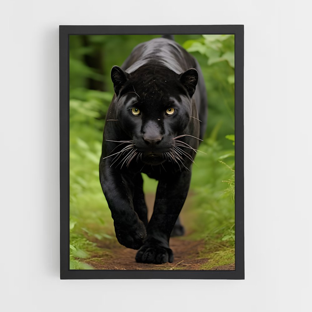 ap-puma-21 cadre Noir