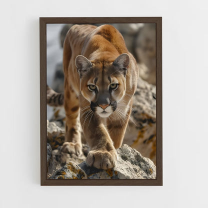 ap-puma-23 cadre Bois foncé