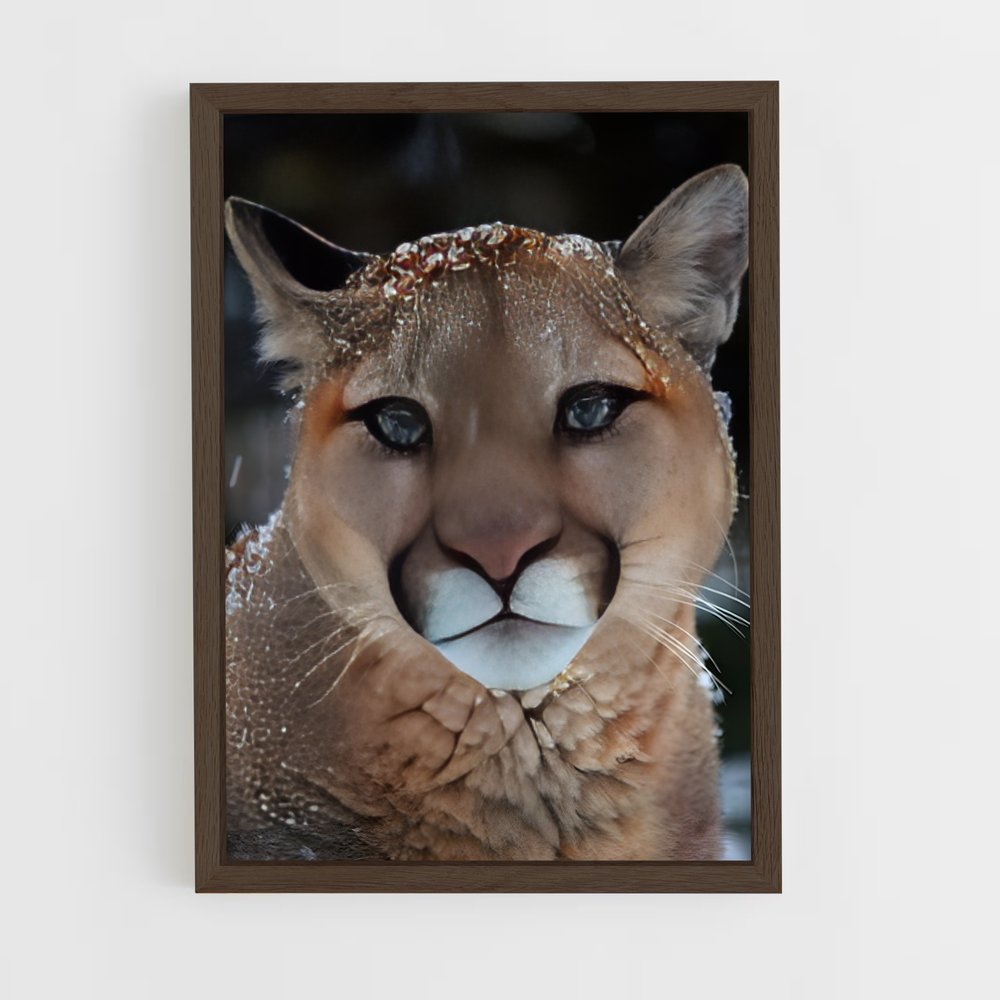 ap-puma-26 cadre Bois foncé