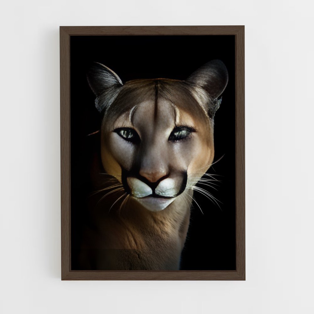 ap-puma-27 cadre Bois foncé