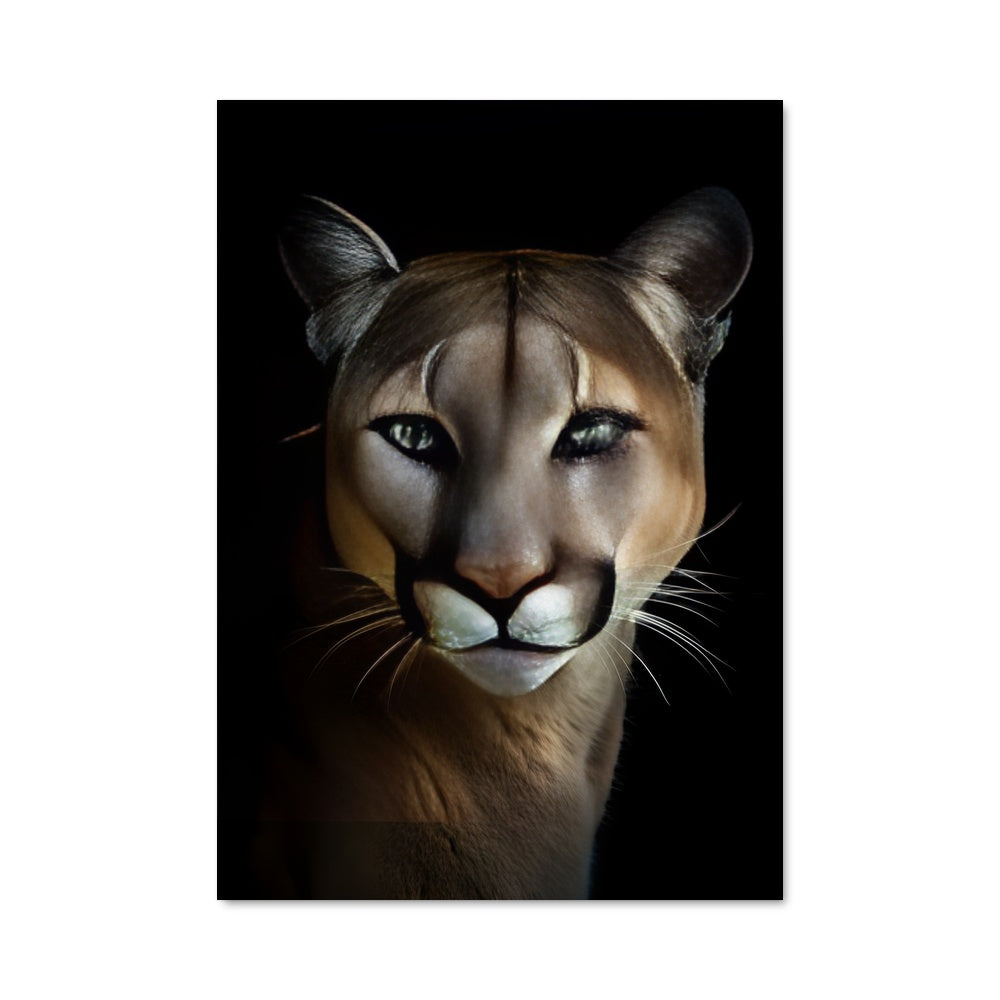 Poster Ombre de Puma