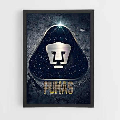ap-pumas unam-2 cadre Noir