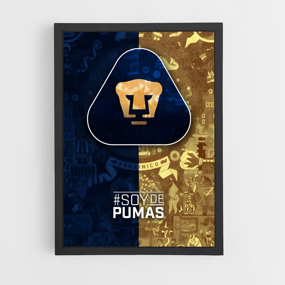 ap-pumas unam-6 cadre Noir
