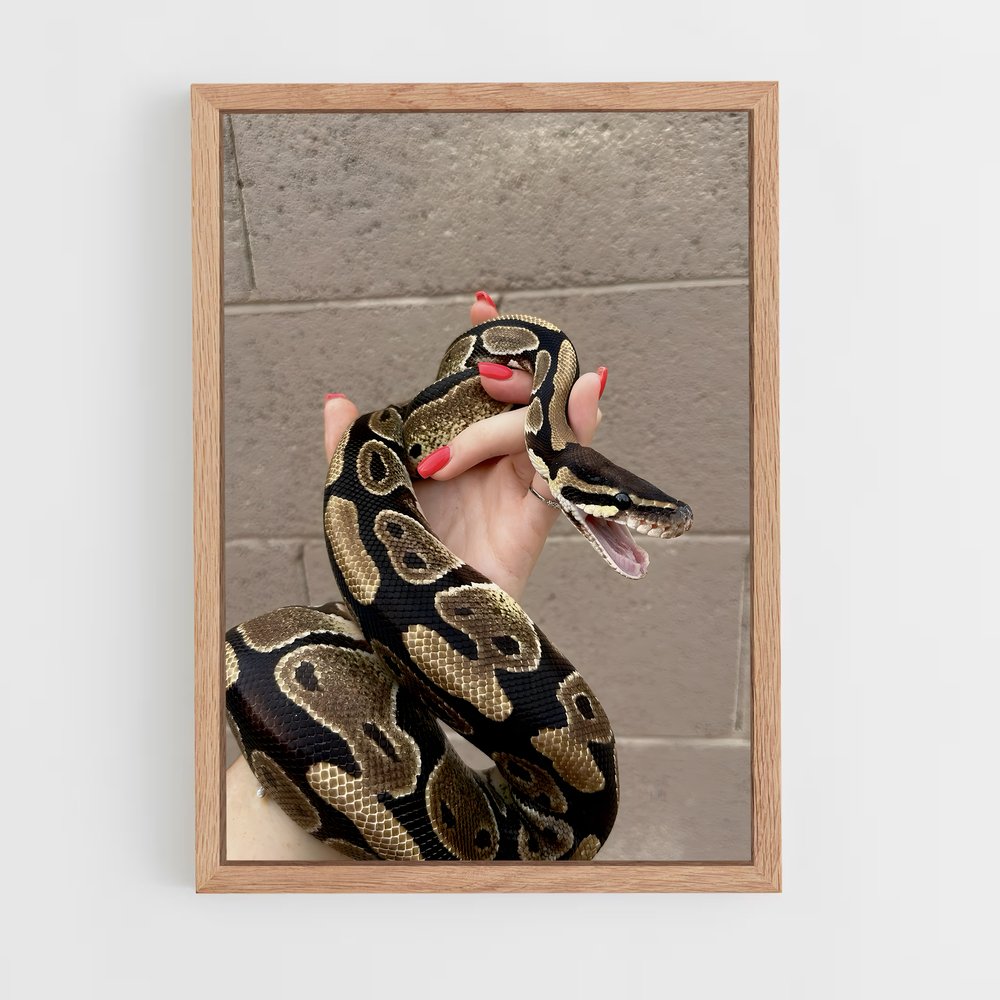 ap-python-3 cadre Bois clair