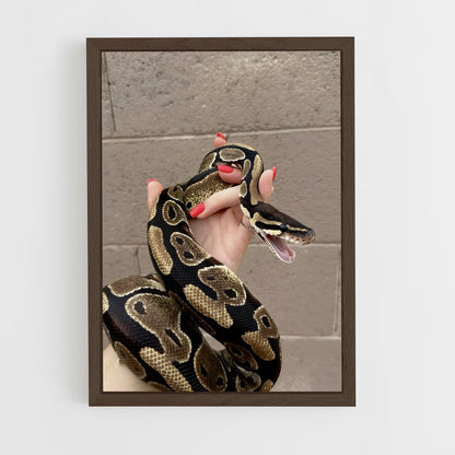 ap-python-3 cadre Bois foncé