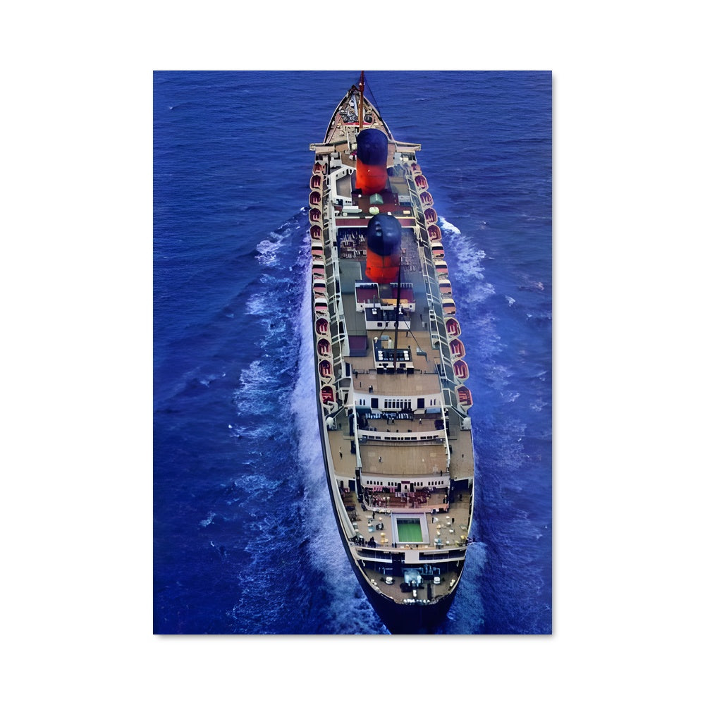 Poster L'Incontournable Éléphant Marin