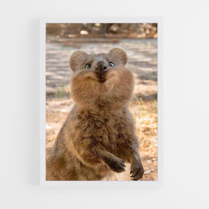 ap-quokka-1 cadre Blanc