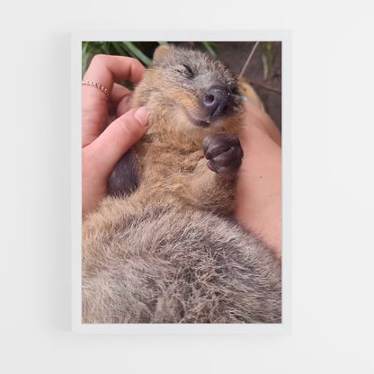 ap-quokka-2 cadre Blanc