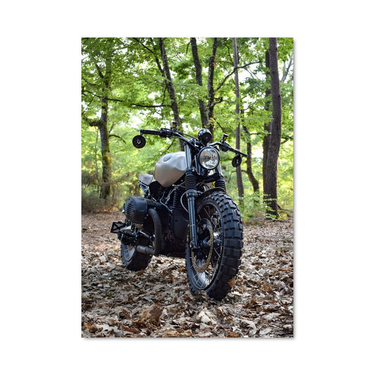 Poster Balade Sauvage