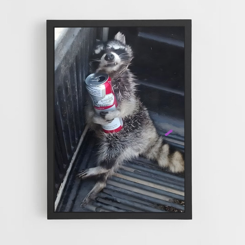 ap-raccoon-1 cadre Noir