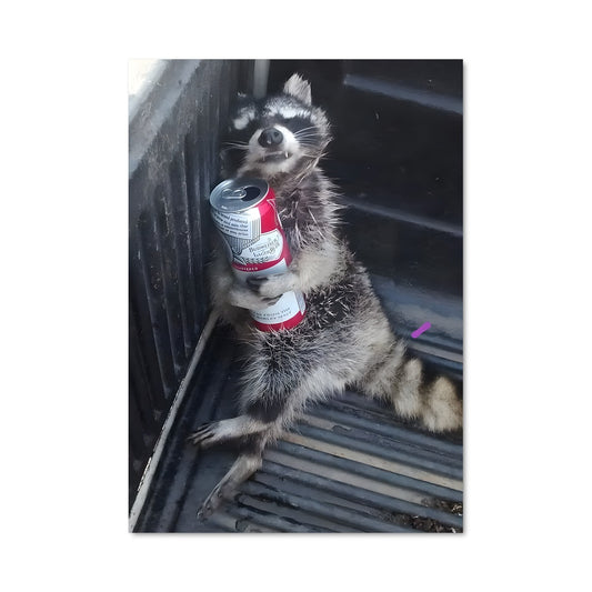 Poster Raccoon Party