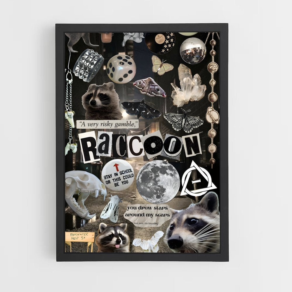 ap-raccoon-2 cadre Noir