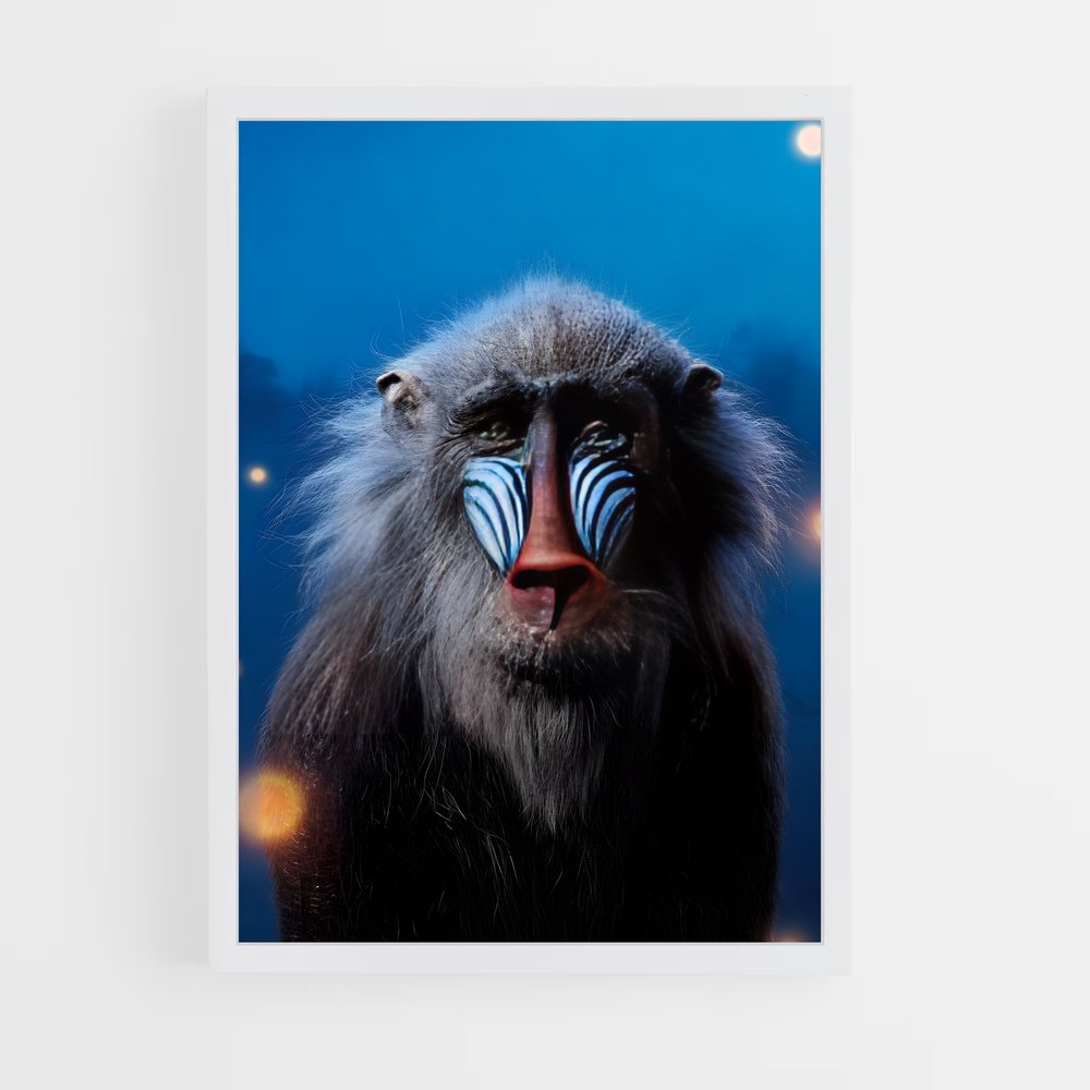 ap-rafiki-2 cadre Blanc