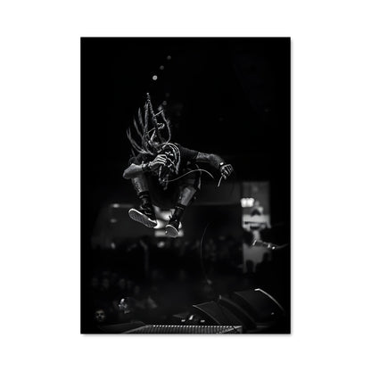 Poster Airborne Tricks