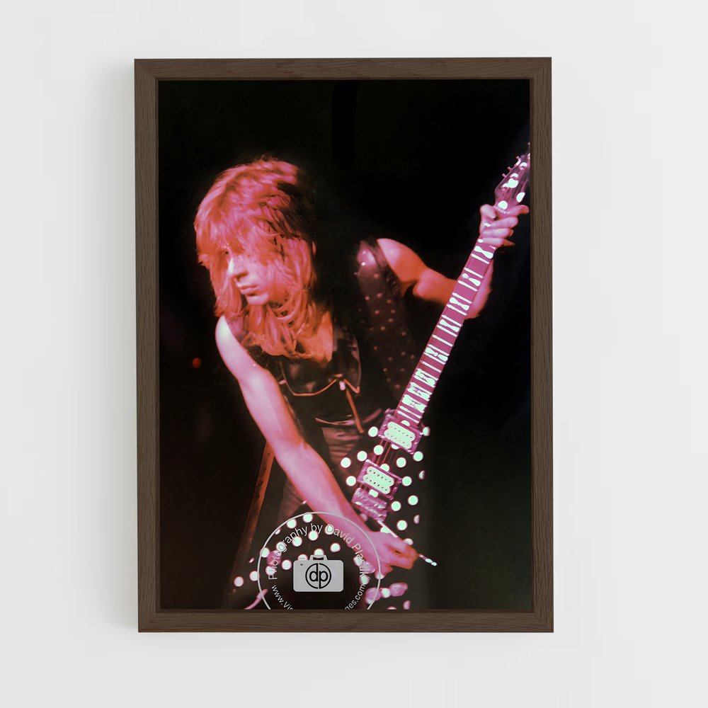 ap-randy rhoads-7 cadre Bois foncé
