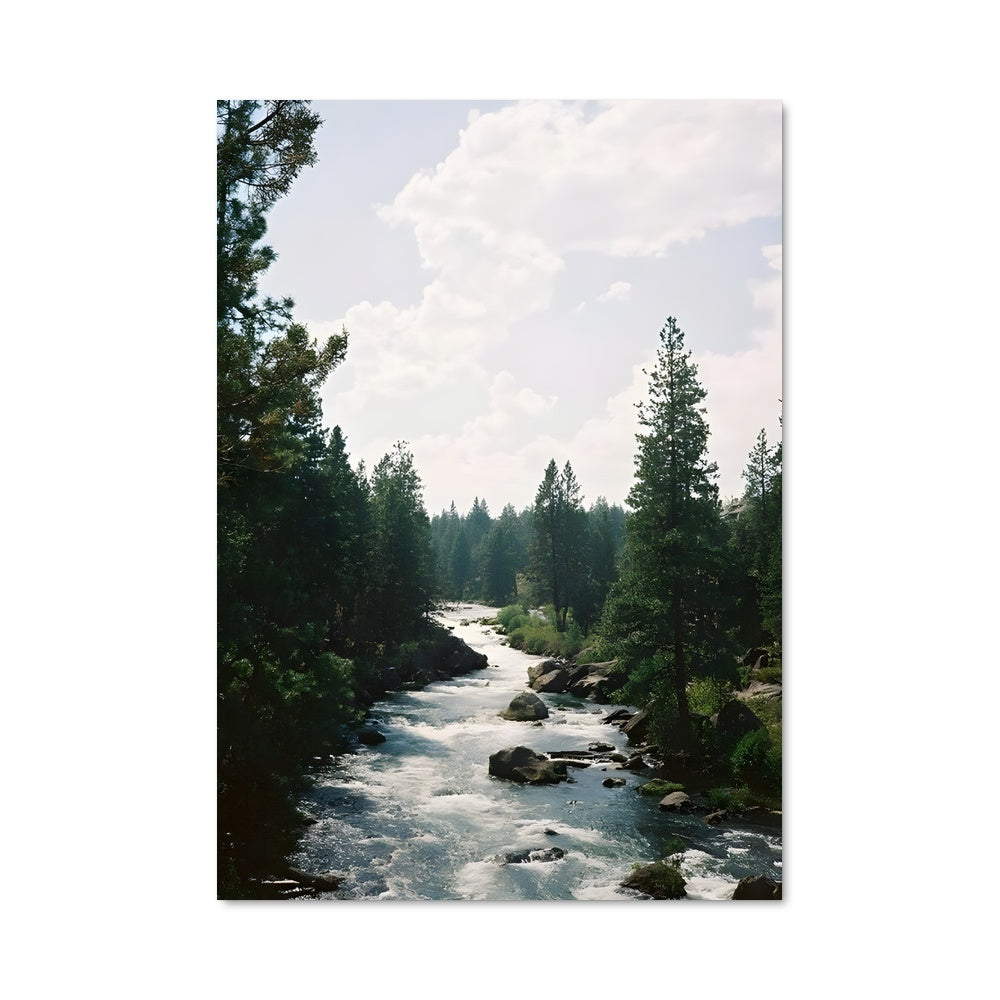 Poster Rapids 97478