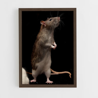 ap-rat-1 cadre Bois foncé