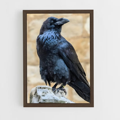 ap-raven-11 cadre Bois foncé