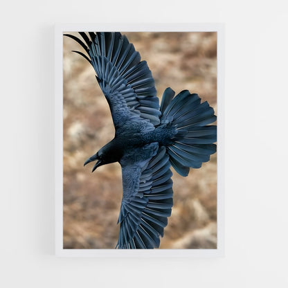 ap-raven-12 cadre Blanc