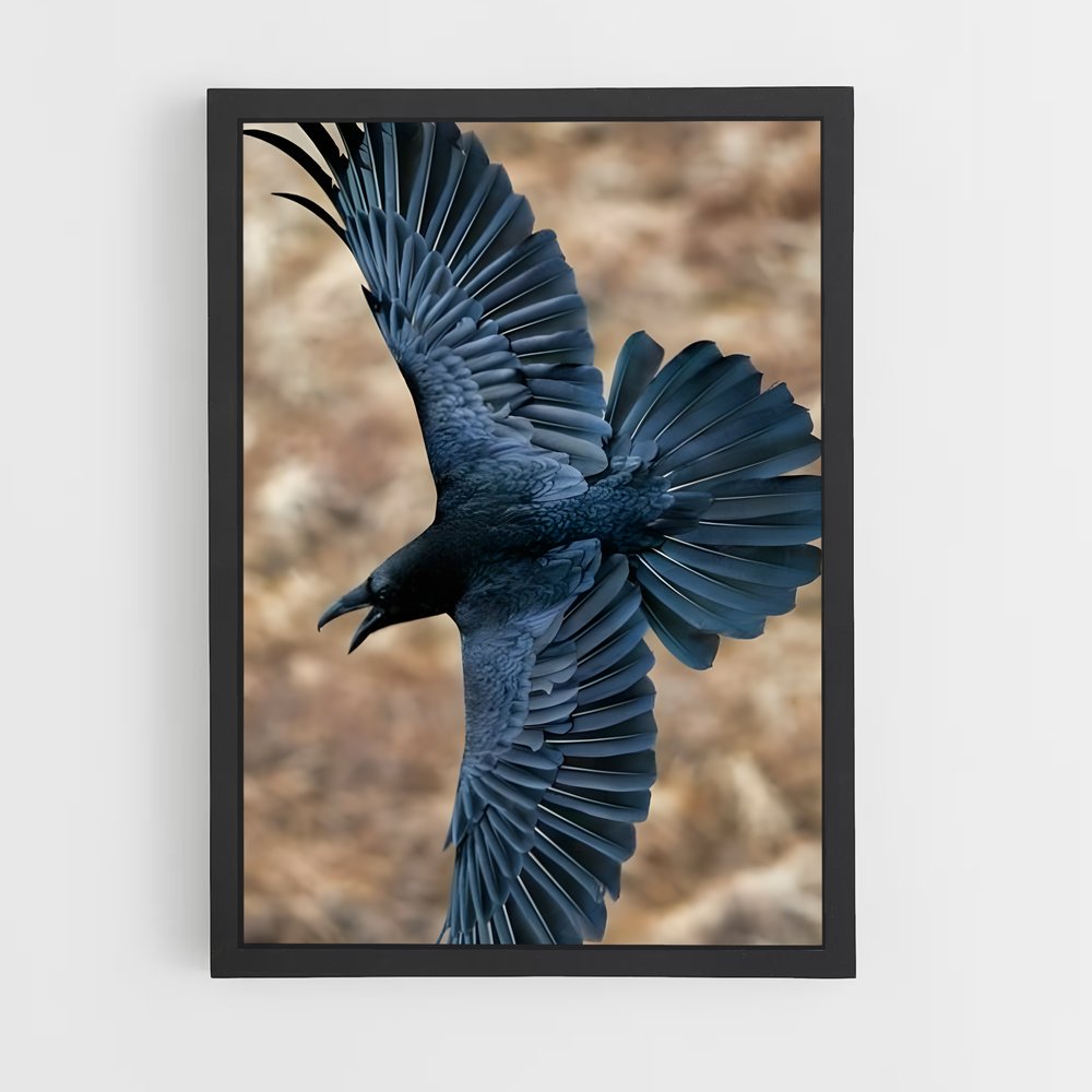 ap-raven-12 cadre Noir