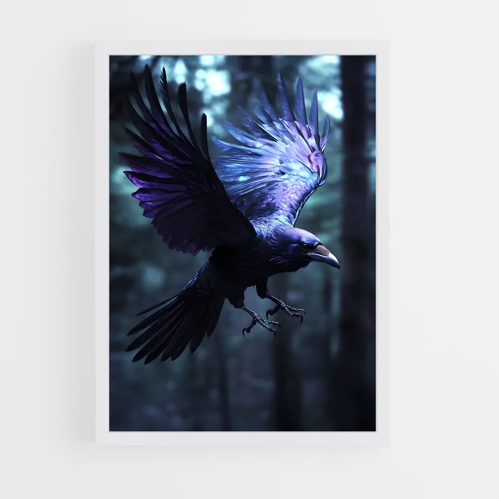 ap-raven-13 cadre Blanc