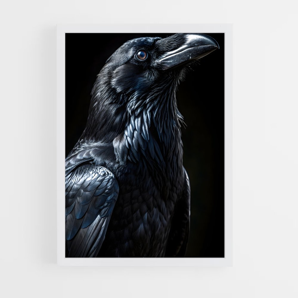 ap-raven-14 cadre Blanc